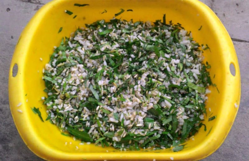 Cung cấp cá tươi cho gà - Những điều cần lưu ý