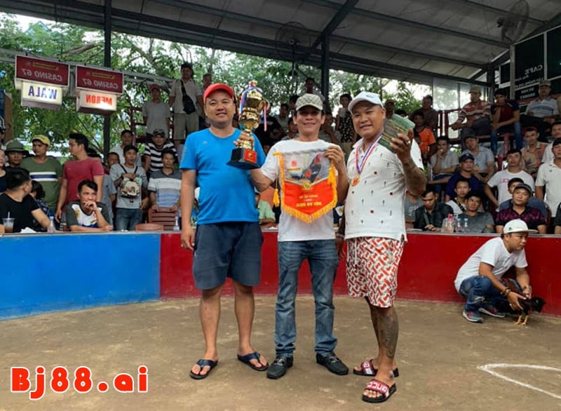 Bồ gà 67 ở đâu, cung cấp dịch vụ gì