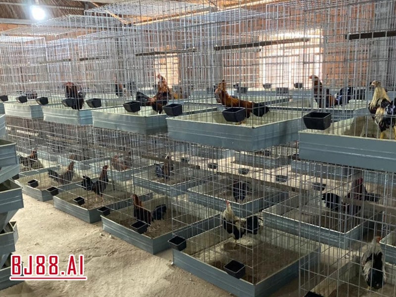 Bu Lắp Ghép - Hiệu Quả Tiết Kiệm Diện Tích