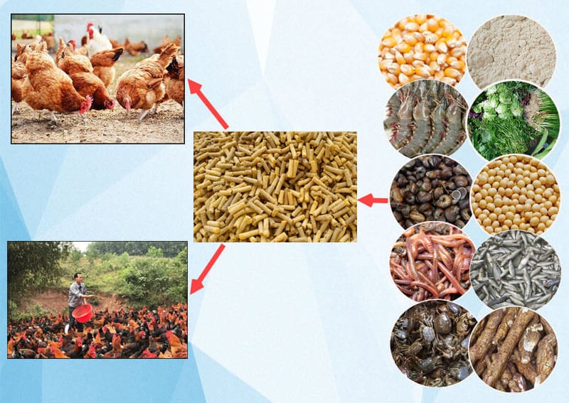 Sử Dụng Thực Phẩm Hỗ Trợ Tiêu Hóa
