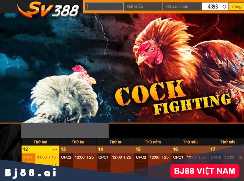 Dịch vụ nhà cái Daga179