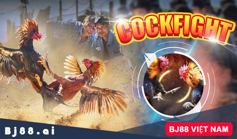 Ưu điểm khi tham gia Daga179
