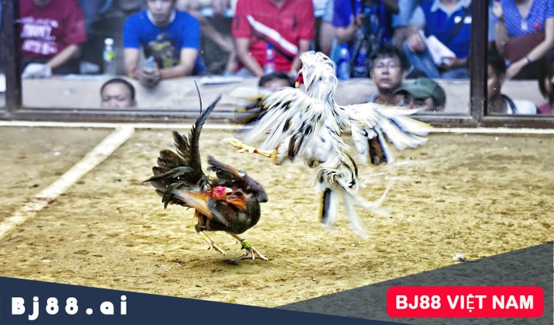 Quy Trình Đăng Ký Tại Daga179: