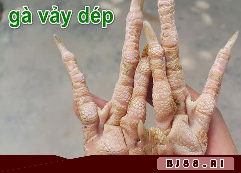 Gà Vảy Dép