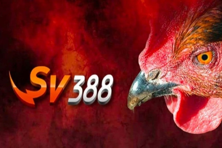 Giới thiệu website Sv388z