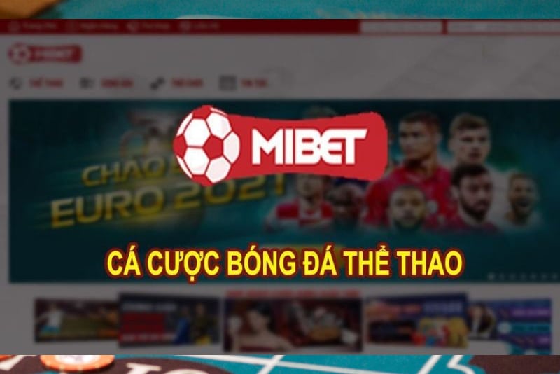 Khuyến mại uy tín đặc biệt dành cho người đăng ký mới.