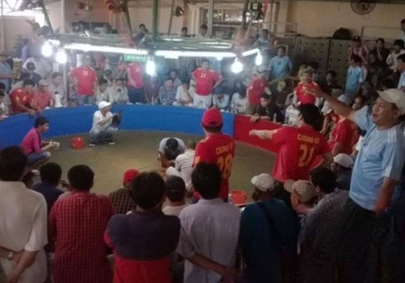 Lưu ý khi tham gia Trường gà Hương Lúa