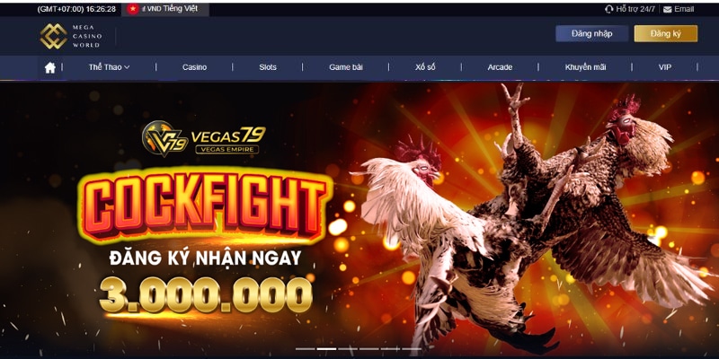Dịch vụ uy tín tại nhà cái