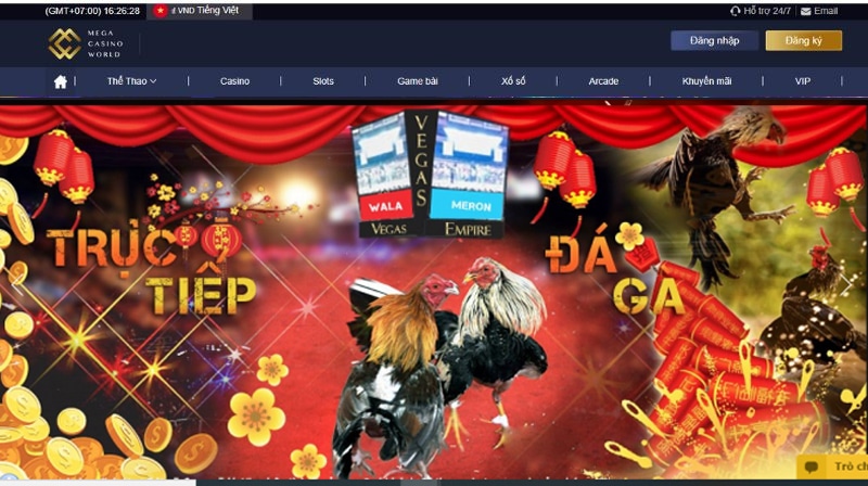 Casinomcw đá gà có ưu điểm gì