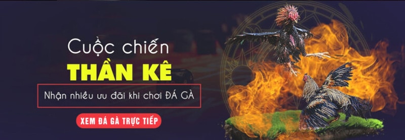 Đá gà 388 có ưu điểm gì
