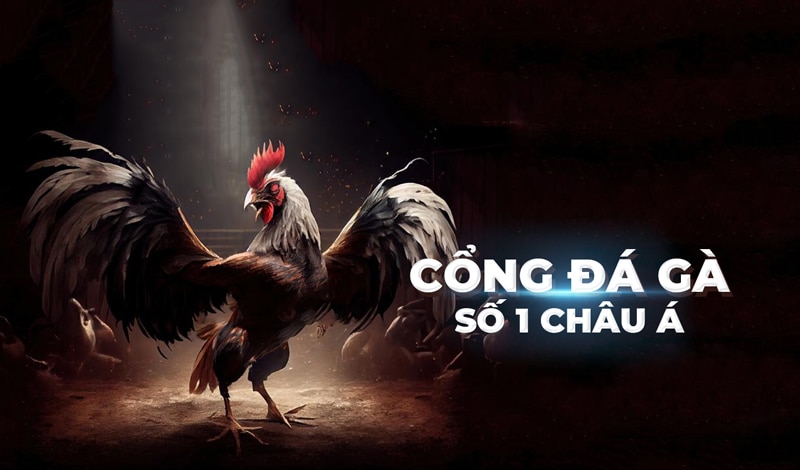 Đá gà VN138: Nơi hội tụ của những trận đấu gà đỉnh cao