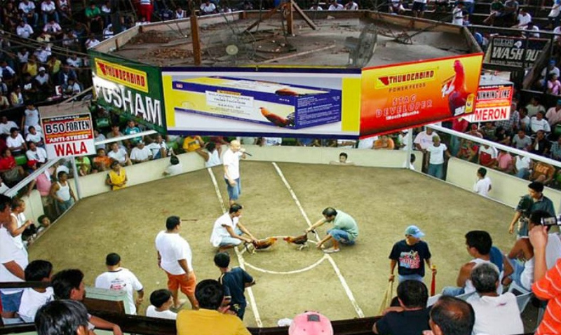 Cơ Sở Vật Chất Hiện Đại và Tiện Nghi tại Trường Gà Thomo 67