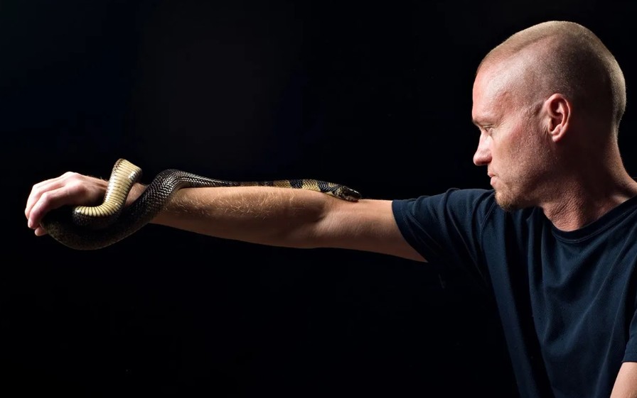 Bà bầu mơ thấy rắn đánh con gì trúng lớn?